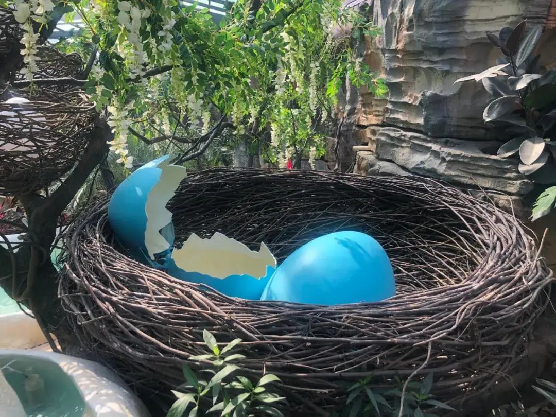 {gallery: 'gal1', smallimage: '/upload/image/202311/655720af66b3b.jpg',largeimage: '/upload/image/202311/655720af66b3b.jpg'}